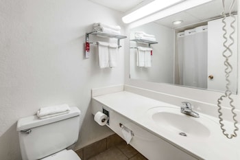 Room, 1 Queen Bed, Accessible, Smoking