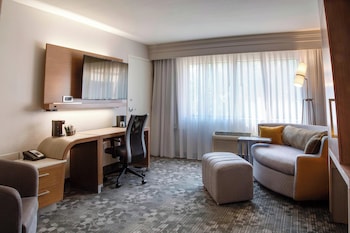 Suite, 1 King Bed with Sofa bed