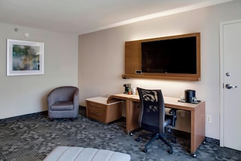 Suite, 1 King Bed with Sofa bed