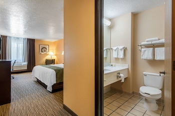 Room, 1 King Bed, Non Smoking