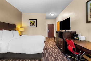 Standard Room, 1 King Bed, Non Smoking, Refrigerator & Microwave