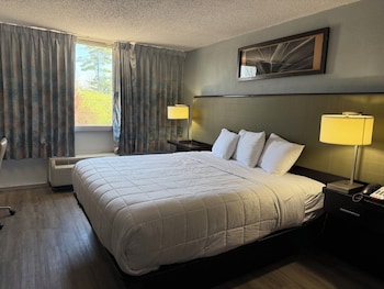 Standard Room, 1 King Bed, Non Smoking