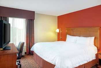 Room, 1 King Bed