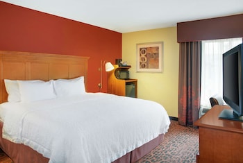 Room, 1 King Bed, Accessible