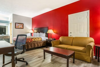 Standard Room, 1 King Bed, Non Smoking