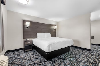 Room, 1 King Bed