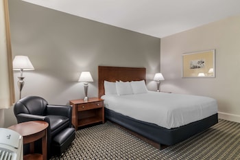 Standard Room, 1 King Bed, Non Smoking, Refrigerator & Microwave (Shower Only)