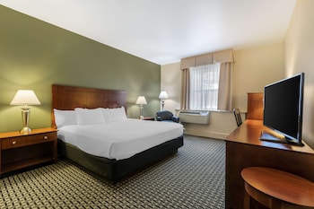 Standard Room, 1 King Bed, Accessible, Non Smoking