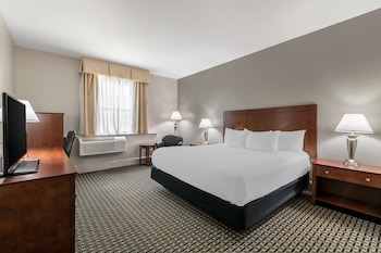 Standard Room, 1 King Bed, Non Smoking, Refrigerator & Microwave (Shower Only)