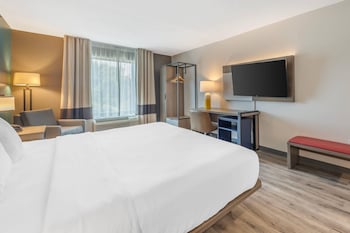 Standard Room, 1 King Bed, Non Smoking