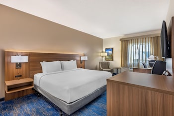 Standard Room, 1 King Bed, Accessible, Refrigerator & Microwave