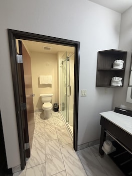 Business Suite, 1 Bedroom