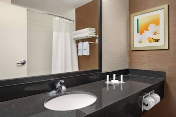 Executive Suite, 1 King Bed with Sofa bed
