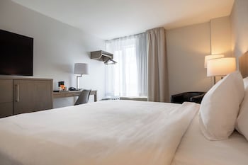 Executive Suite, 1 King Bed