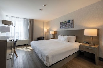 Executive Suite, 1 King Bed with Sofa bed