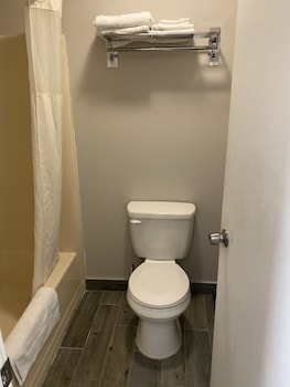Suite, 1 King Bed