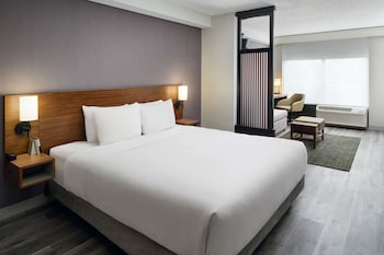 Room, 1 King Bed, Accessible (with Shower)