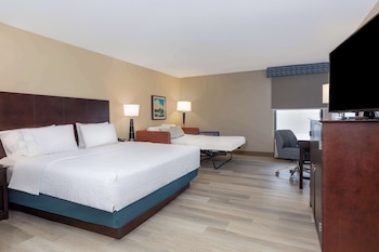 1 King Bed, Larger room, With Sofa Bed, Microwave, Fridge, Non Smoking