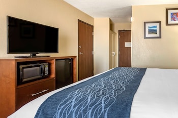 Room, 1 King Bed, Accessible, Non Smoking