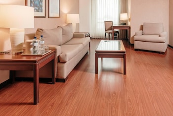 Suite, 1 King Bed with Sofa bed