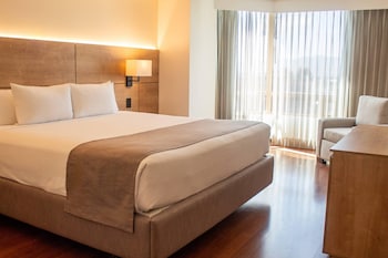 Executive Suite, 1 King Bed with Sofa bed