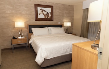 Suite, 1 King Bed, Accessible (Mobility, Accessible Tub)
