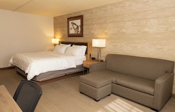 Room, 1 King Bed, Accessible (Communications, Accessible Tub)