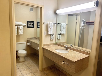 Suite, 1 King Bed, Accessible, Pool View (Communications)