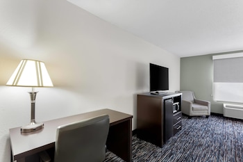 Room, 1 King Bed, Non Smoking