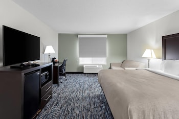 Room, 1 King Bed, Accessible, Non Smoking (Accessible Tub)