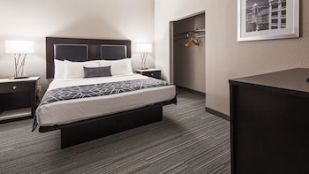 Room, 1 King Bed, Non Smoking, Refrigerator & Microwave (Shower Only;with Sofabed)