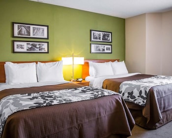 Standard Double Room, 2 Double Beds, Non Smoking