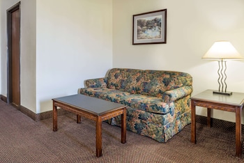 Suite, 1 King Bed, Refrigerator & Microwave