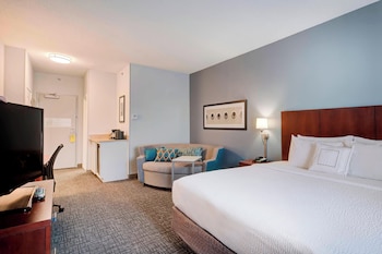 Room, 1 King Bed with Sofa bed