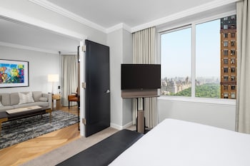 Suite, 1 Bedroom, Park View
