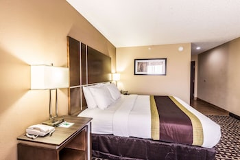 Standard Room, 1 King Bed, Non Smoking
