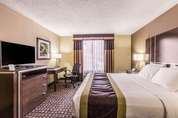 Standard Room, 1 King Bed, Non Smoking