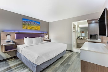 Standard Room, 1 King Bed, Non Smoking, Refrigerator & Microwave (Larger Room;with Sofabed)