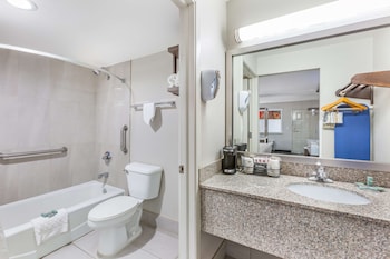 Standard Room, 1 King Bed, Non Smoking, Refrigerator & Microwave (Larger Room;with Sofabed)