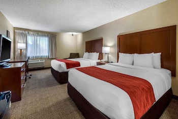 Standard Room, 2 Double Beds, Non Smoking (Pet Friendly)