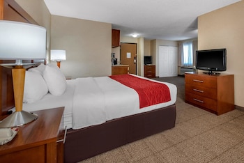 Standard Room, 1 King Bed, Non Smoking (No Pets)