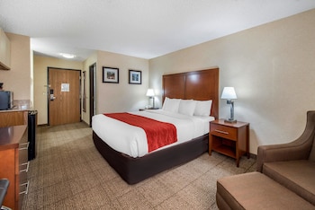 Standard Room, 1 King Bed, Non Smoking (No Pets)