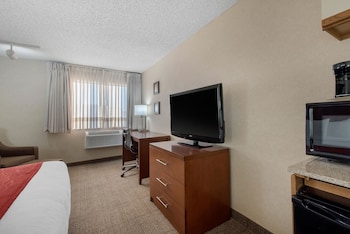 Standard Room, 1 King Bed, Non Smoking (No Pets)