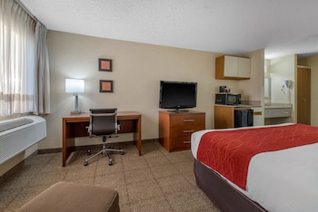 Standard Room, 1 King Bed, Non Smoking (No Pets)