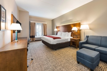Room, 1 King Bed, Non Smoking, Bathtub