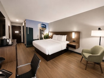 Room, 1 King Bed, Accessible, Non Smoking