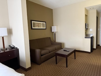 Suite, 1 King Bed, Non Smoking (Shower Only;with Sofabed)