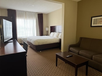 Suite, 1 King Bed, Non Smoking (Shower Only;with Sofabed)