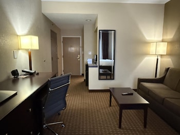 Suite, 1 King Bed, Non Smoking (Shower Only;with Sofabed)