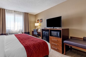 Suite, 1 King Bed with Sofa bed, Accessible, Non Smoking